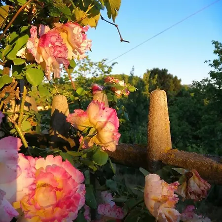 Vicino Gambarie in COLLINA DI REGGIO Appartamento
